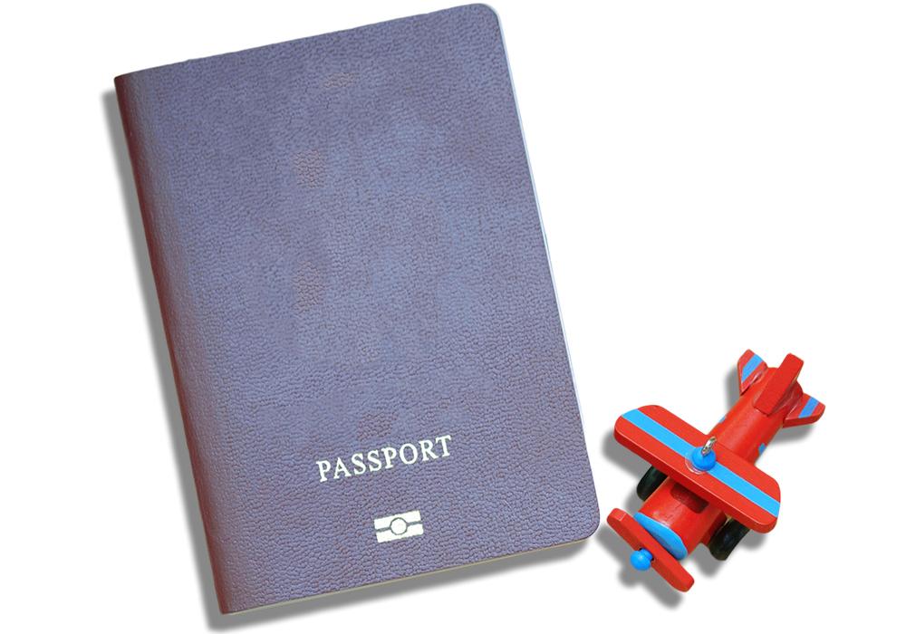 Pasaporte y avioncito de juguete