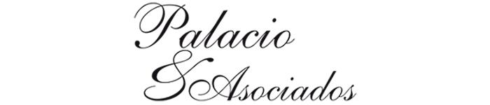 logotipo de Palacio y Asociados